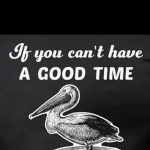 Meet your Posher, Shellie